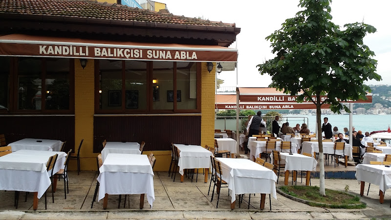 Kandilli Suna'nın Yeri photo 1