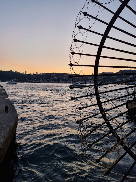 Kandilli Suna'nın Yeri photo 10