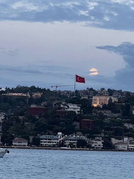 La Sirene Bebek photo 6
