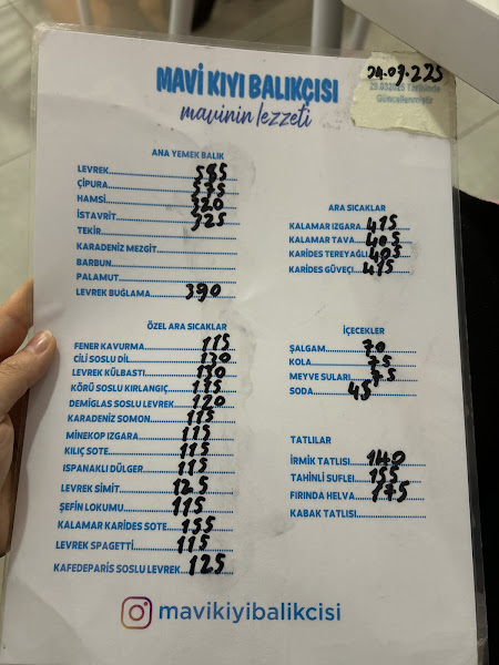 Mavi Kıyı Balıkçısı photo 9