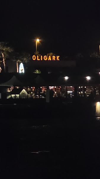 Oligark İstanbul photo 3