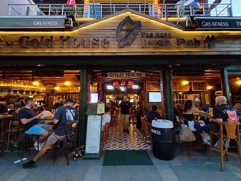 The Harp Irish Pub photo 9