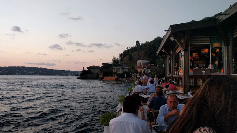 Uskumru Balık photo 8