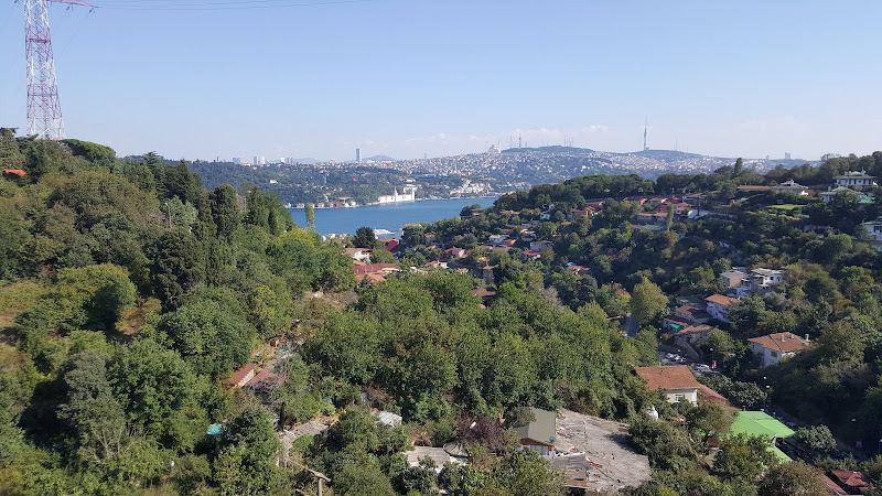 Vadi Arnavutköy photo 6