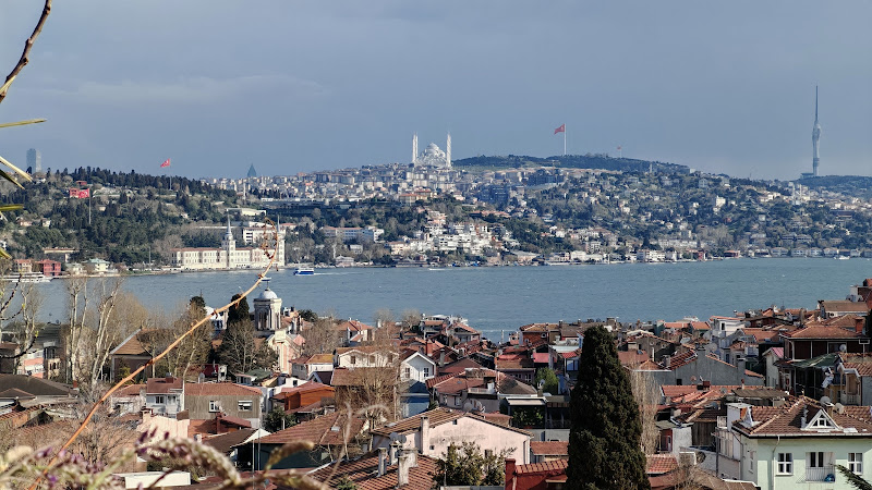 Vadi Arnavutköy photo 7
