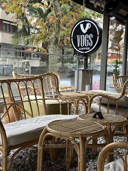 VOGS photo 4